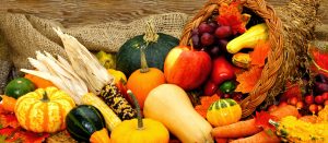 Erntedankfest 2019 @ Hof Vennschott (Familie Schöppner)